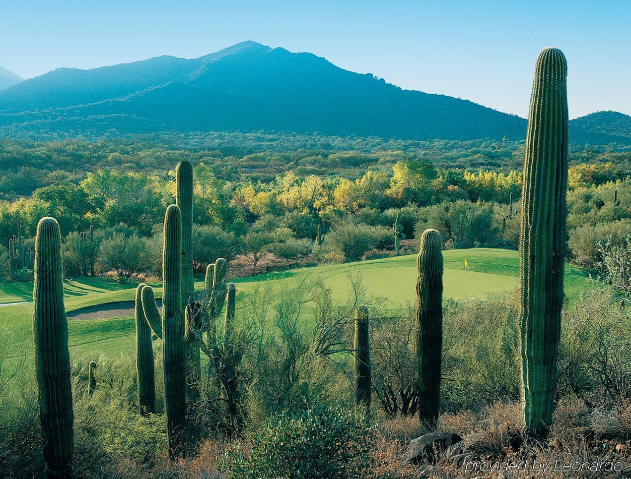 Rancho Manana Resort Cave Creek Exterior foto